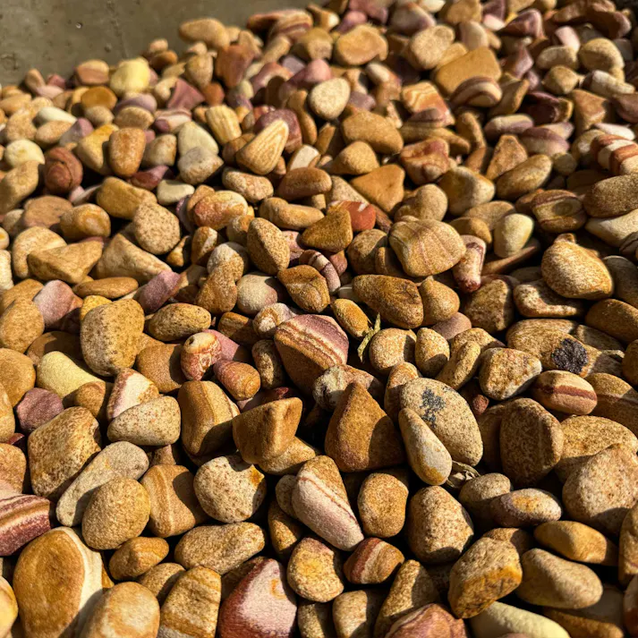 TAIKOH タンブル華石 8分 22-28mm 10kg 砂岩 化粧砂利 イエロー オレンジ 玉石 中