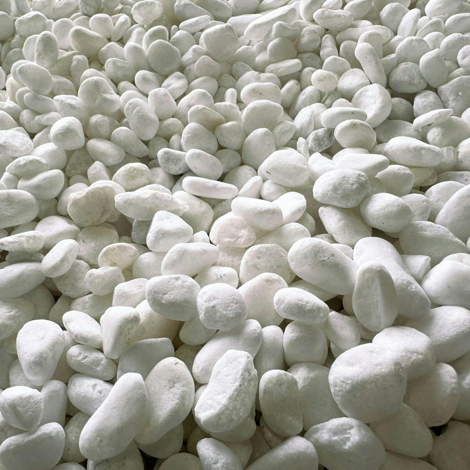 5000000000263_01.jpg
