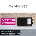 【お一人様一台限り】FM/AMポータブルラジオ SONY ICF-506