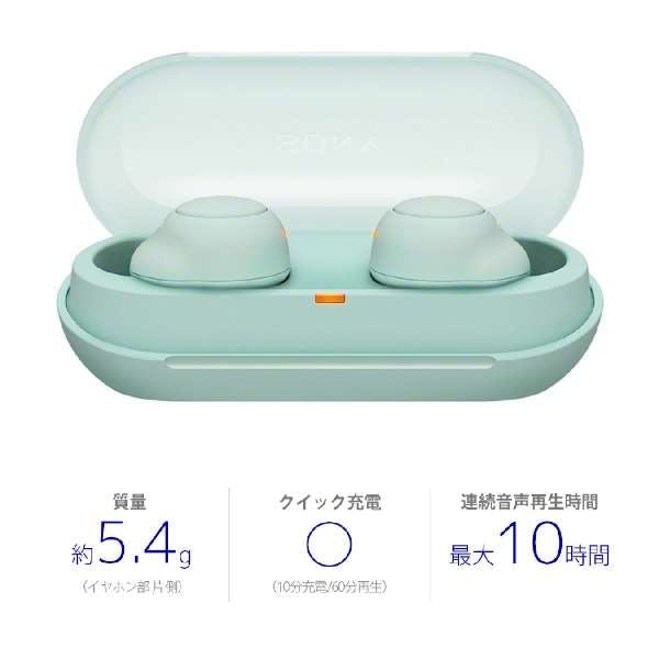 完全ワイヤレスイヤホン ソニー SONY イヤホン ワイヤレス 左右