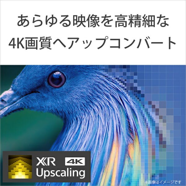 4K液晶テレビ SONY XRJ-50X90K | テレビ・AV機器 通販
