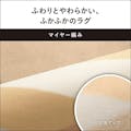 【お一人様一台限り】着せ替えカーペット セットタイプ 3畳相当 パナソニック DC-3NKC1