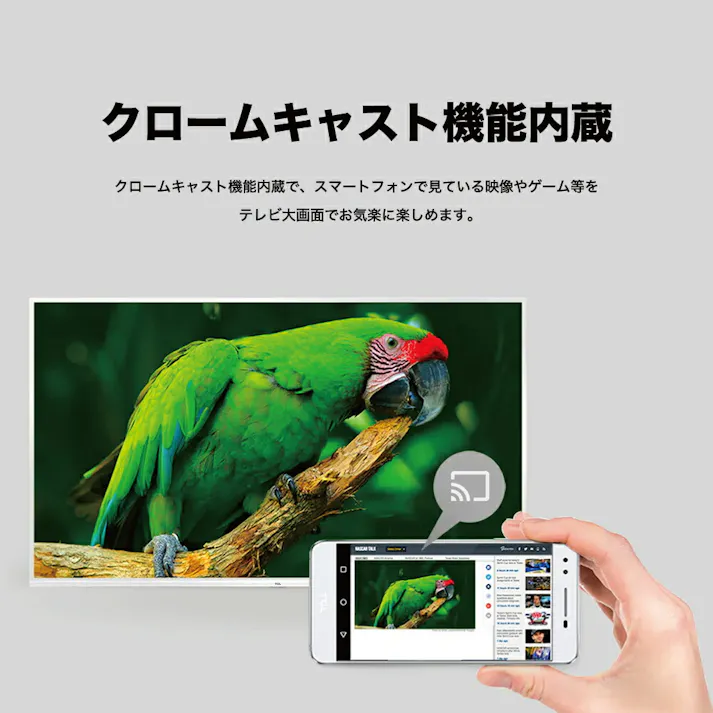 TCL 32型 フルハイビジョン スマートテレビ(Android TV) 32S5400 Amazon Prime Video対応 外付けHDDで裏番組録画対応