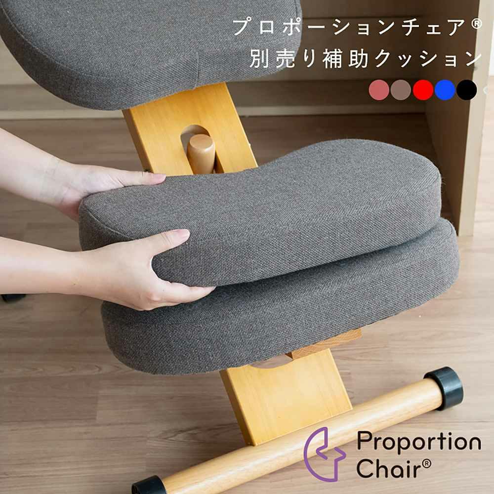 【極美品】宮武製作所　バランスチェア　プロモーションチェア　補助クッション付き 61JIeE4DtkL._AC_UL210_SR210,