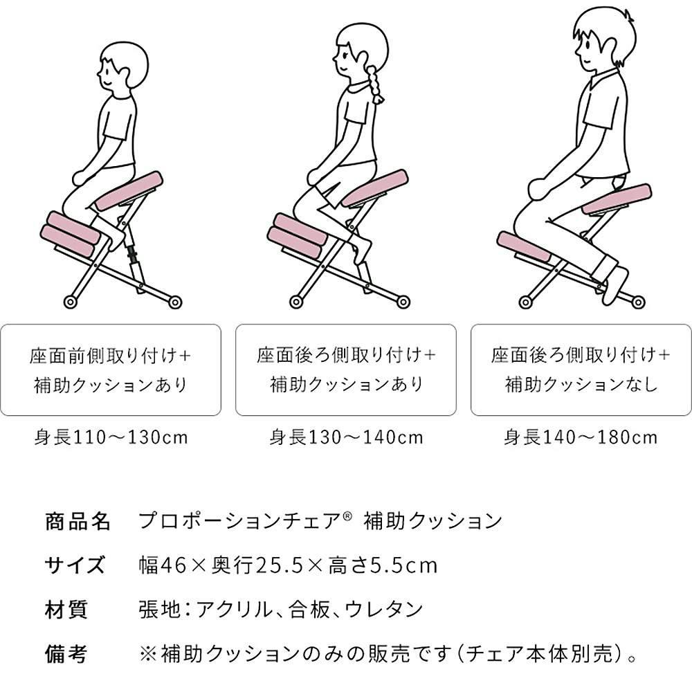 宮武製作所 MIYATAKE プロポーションチェア用補助クッション | 椅子