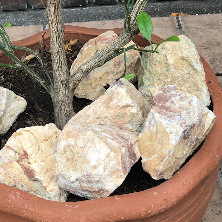 TAIKOH マーブルイエローゴロタ 100-200mm 20kg 天然大理石 ロック 景石 イエロー 黄 ベージュ 割栗 大