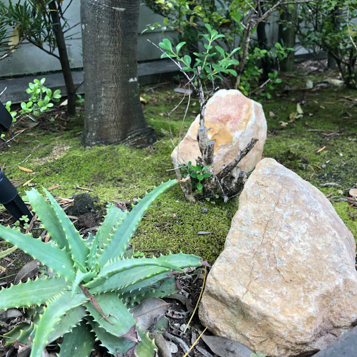 TAIKOH マーブルイエローゴロタ 100-200mm 20kg 天然大理石 ロック 景石 イエロー 黄 ベージュ 割栗 大