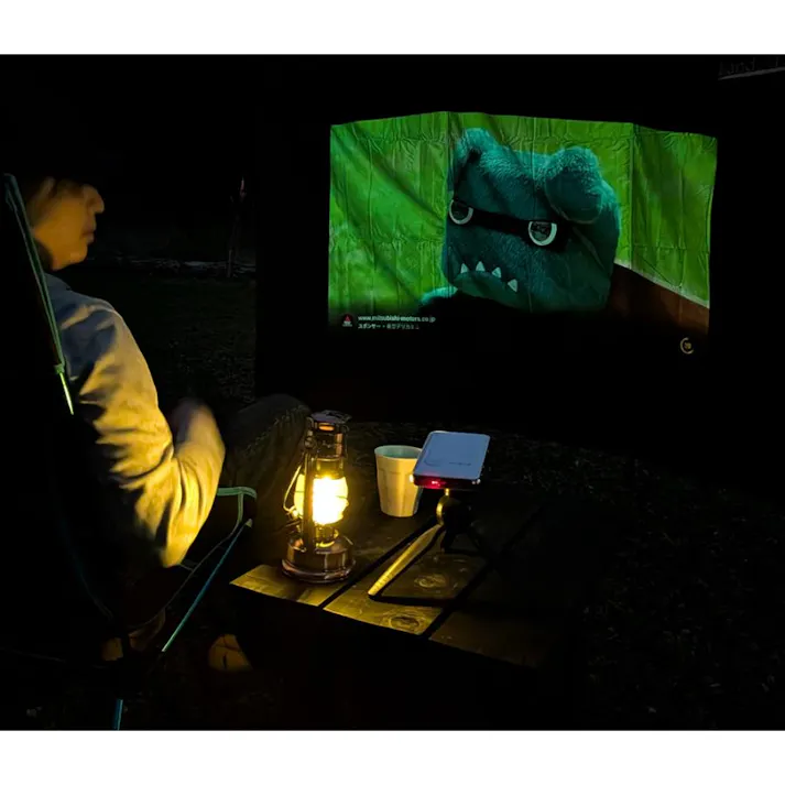 LandField ウインドスクリーン LF-WS030-GR 風よけ アウトドア 幅220cm 大型 折りたたみ ペグ付き 風防 焚き火 陣幕 T/C素材 難燃 仕切り 目隠し パーテーション キャンプ 軽量 収納袋付き 持ち運び 【公式】