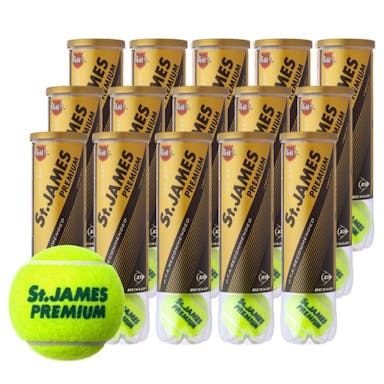 DUNLOP ダンロップ St.JAMES Premium 硬式 テニスボール 4球入り×15缶