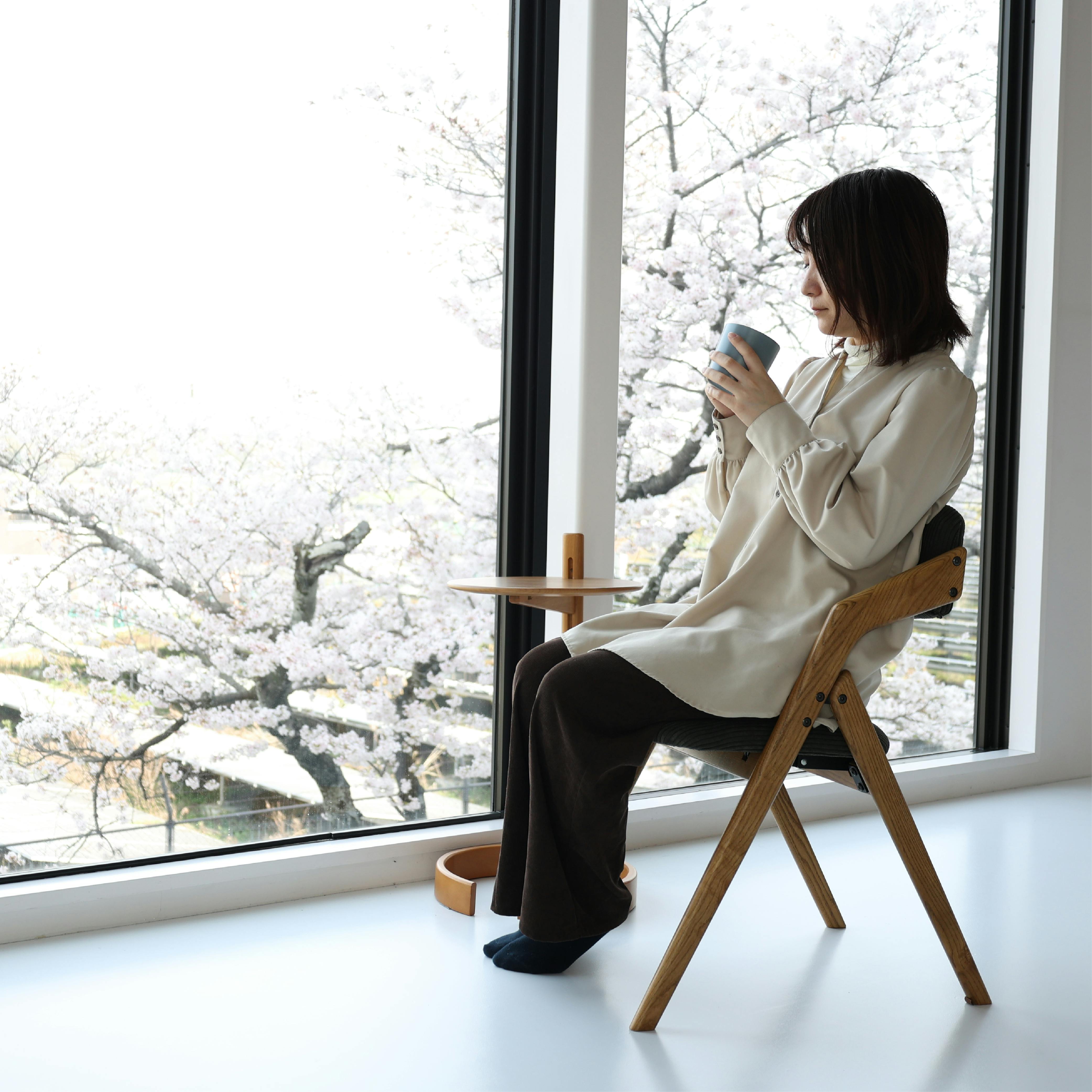 折りたためるダイニングチェア Dining Chair(folding) - butler