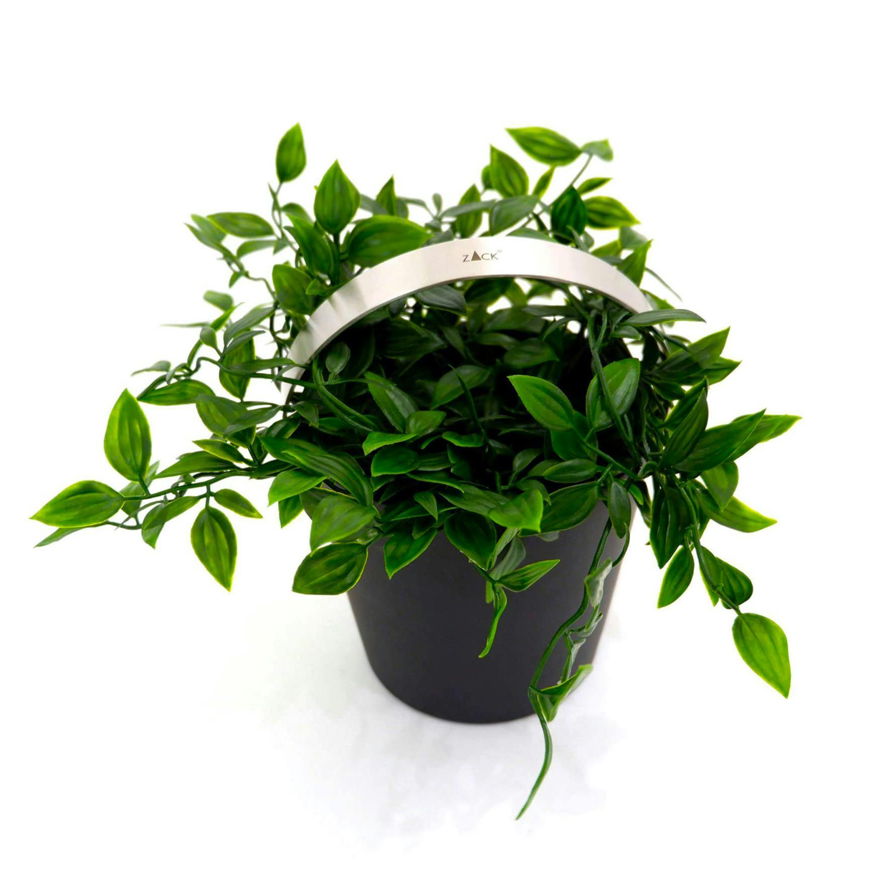 パンと植木鉢('96仏/イラン) パンと植木鉢('96仏/イラン) - メルカリ