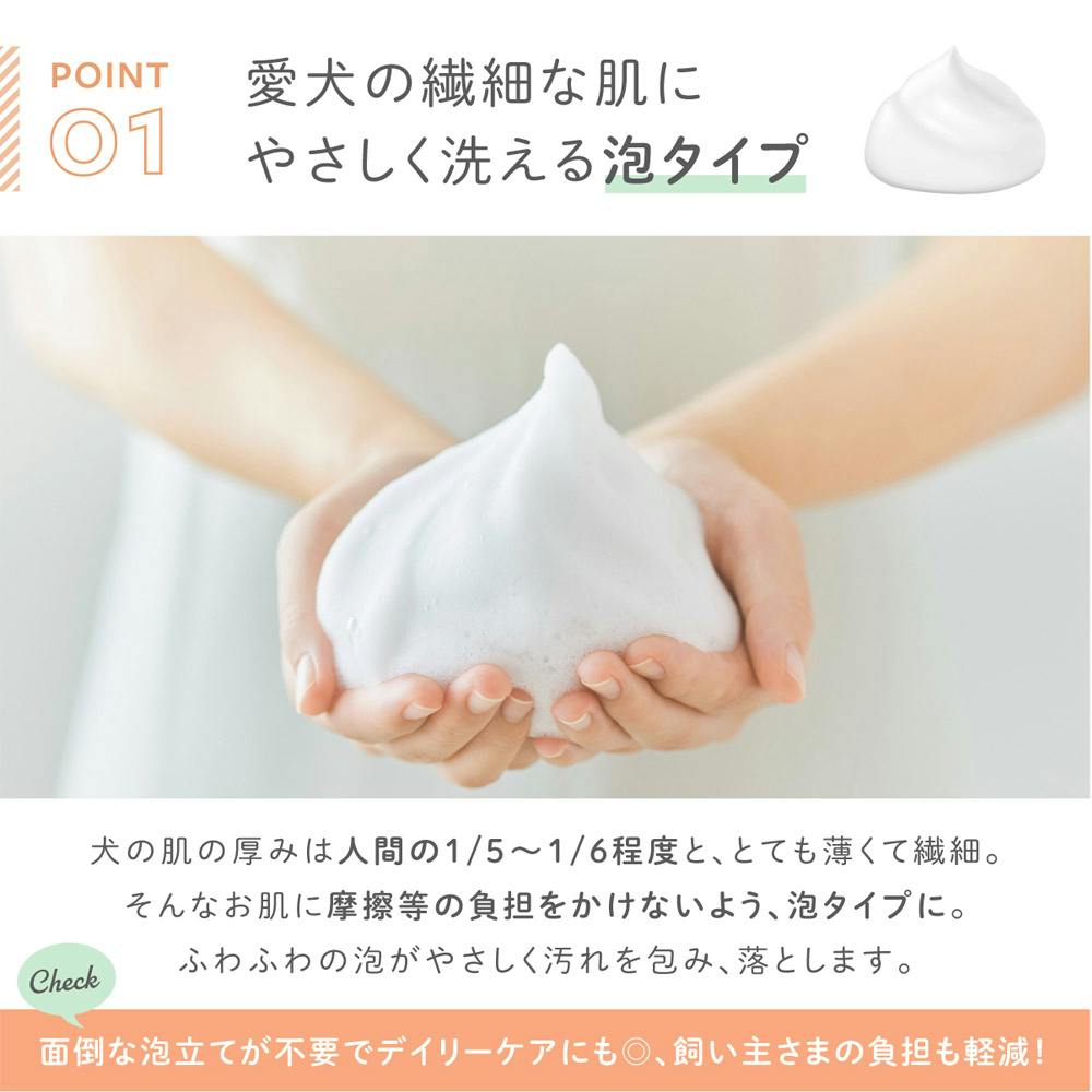 ふわり様　　専用ページ　　スーパーバランス５箱　ドライシャンプー６本　東鳩１０個 抗菌ふわっと弁当箱 1段/530mlとなりのトトロ（行進
