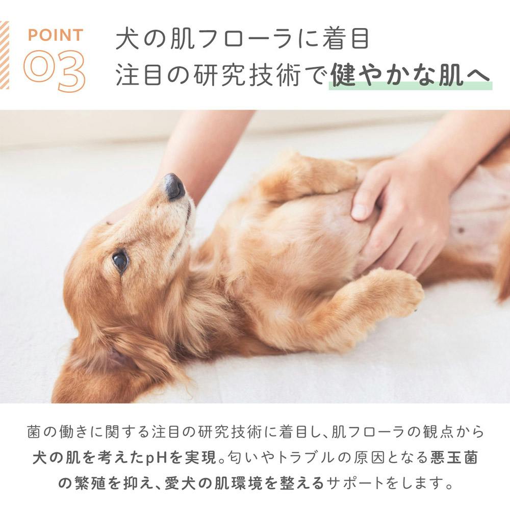 犬用シャンプー 日本製 獣医師・トリマー監修 無添加 低刺激 大