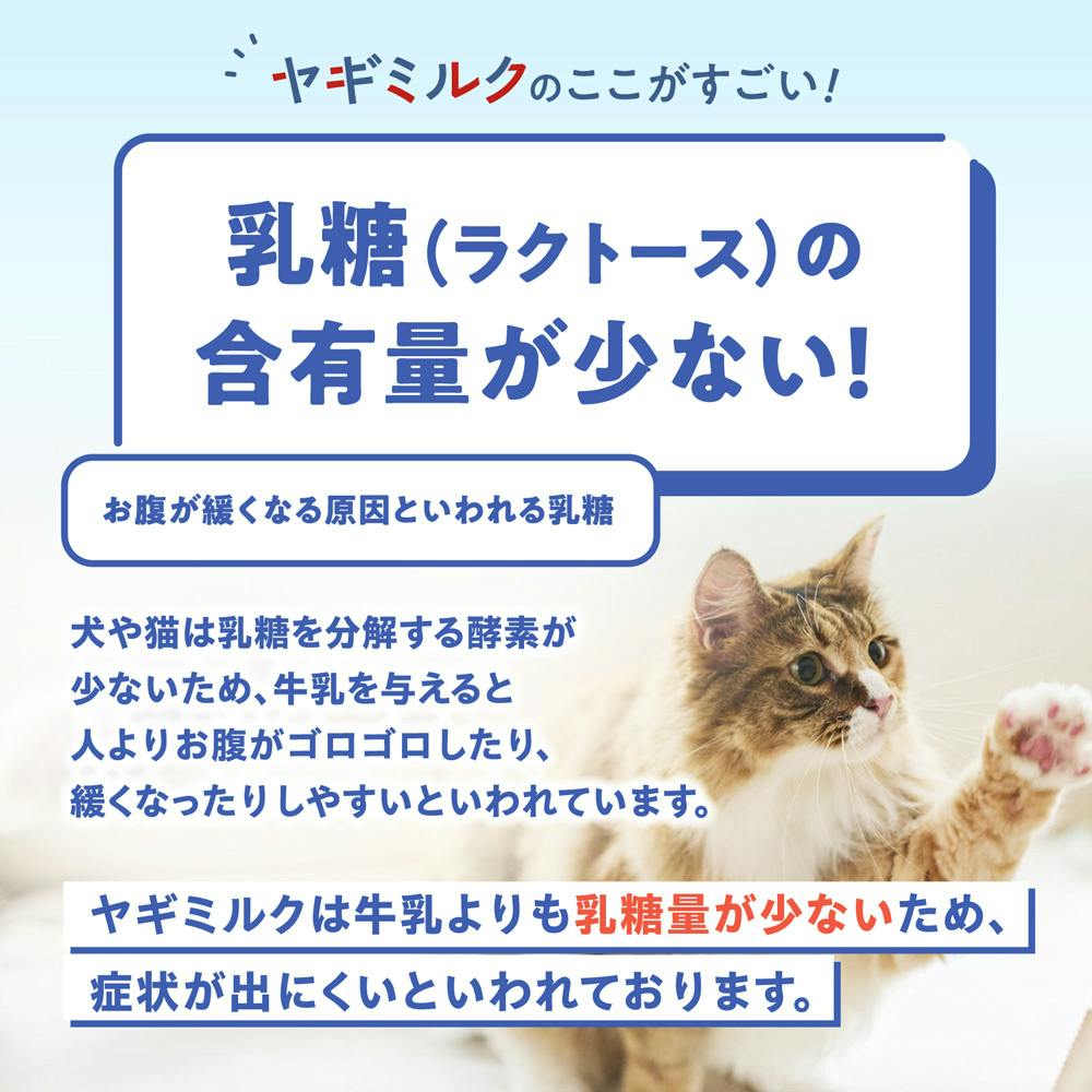 毎日のごちそうヤギミルク 50g 獣医・トリマー監修 犬用 猫用