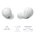 【お一人様一台限り】ソニー イヤホン ワイヤレス Bluetooth 両耳 マイク 防滴 WF-C700N WZ