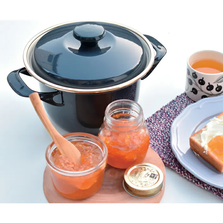 富士ホーロー EXシリーズ ココット 16cm 2.1L IH対応【両手鍋 キャセロール ホーロー鍋 直火】 Fuji