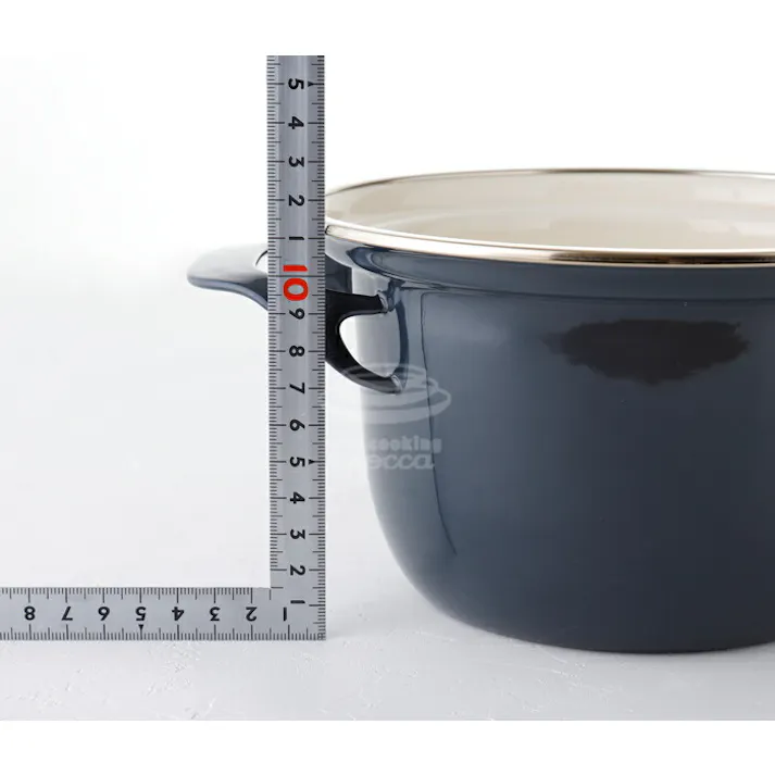 富士ホーロー EXシリーズ ココット 16cm 2.1L IH対応【両手鍋 キャセロール ホーロー鍋 直火】 Fuji