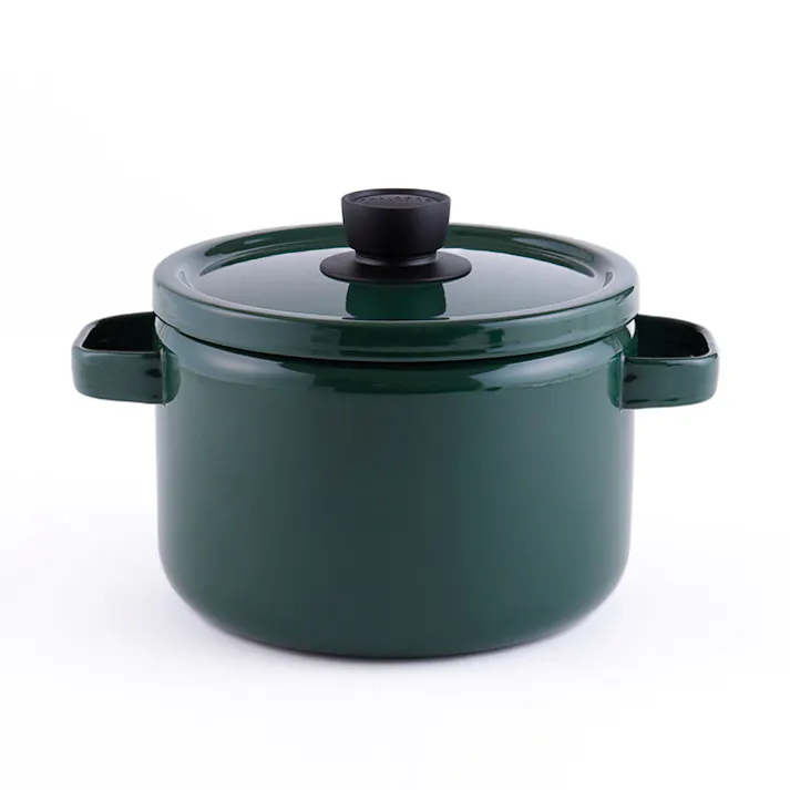 富士ホーロー ディープキャセロール ホーロー 22cm 5.6L IH対応 ソリッド【IH 200V 深鍋 ホーロー鍋 パスタ鍋 カレー鍋 調理器具 両手鍋 深型 琺瑯鍋 寸胴鍋 低温調理器 鍋 直火】 グリーン