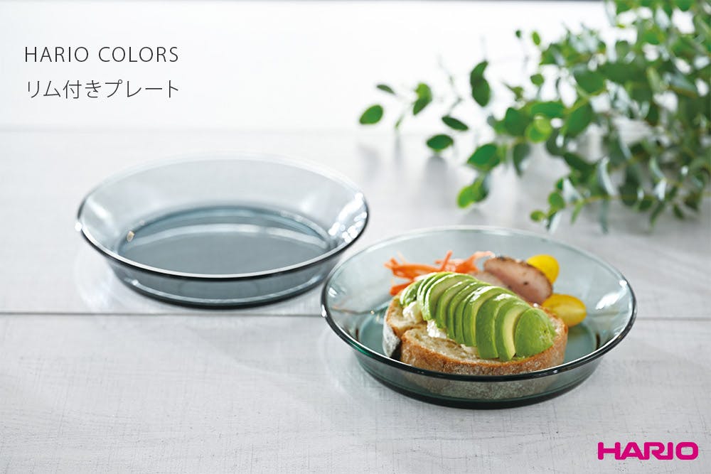 ハリオ カラーズ リム付きプレート HARIO COLORS【皿 パスタ皿 中皿
