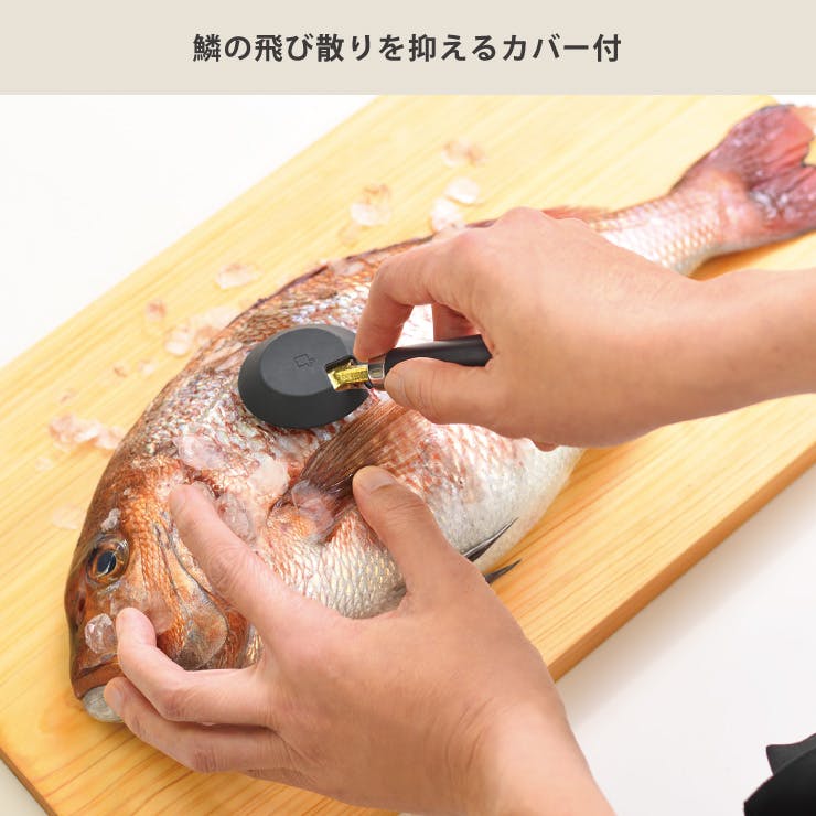 大人の焼魚 鱗とり カバー付き オークス AUX OTS8013【魚 うろこ取り