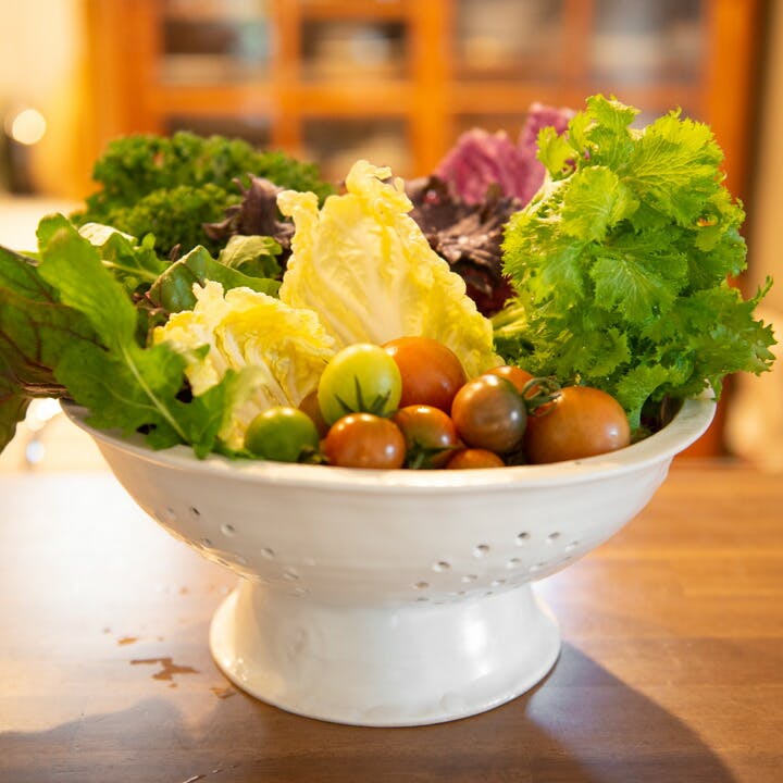 富士ホーロー コランダー ホーロー 22cm【ほうろう 琺瑯 水切り