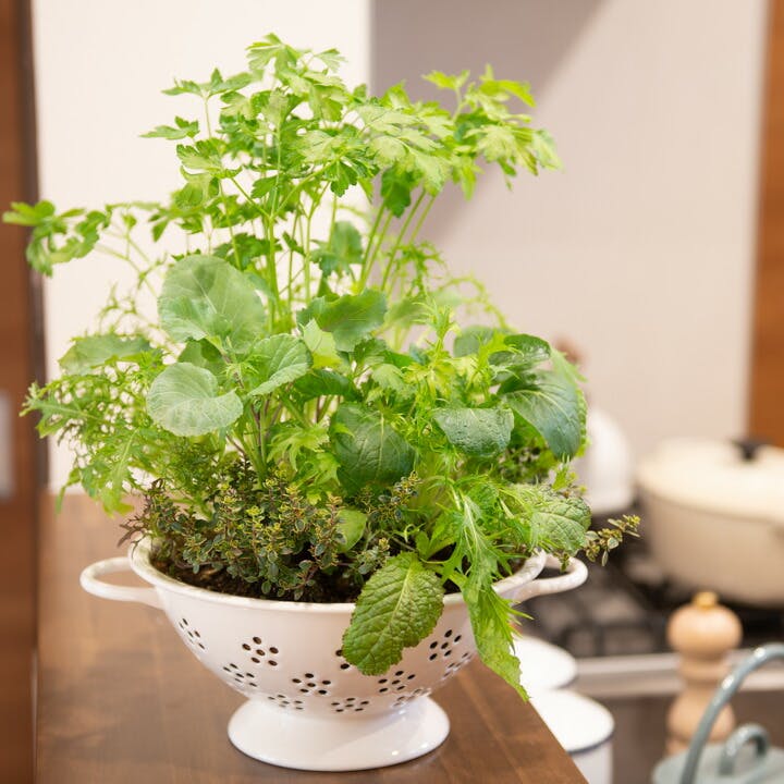 ホーロー コランダー＊ツールスタンド＊カップ＊スプーンセット 富士ホーロー コランダー ホーロー 22cm【ほうろう 琺瑯 水切り