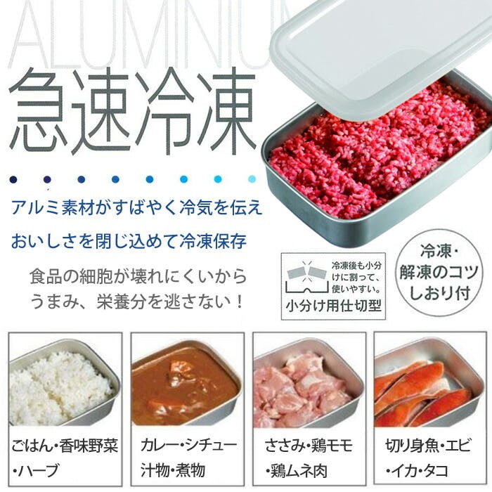 アルミ 保存容器 急速冷凍保存 S 500ml スケーター AKH2【冷凍 食品