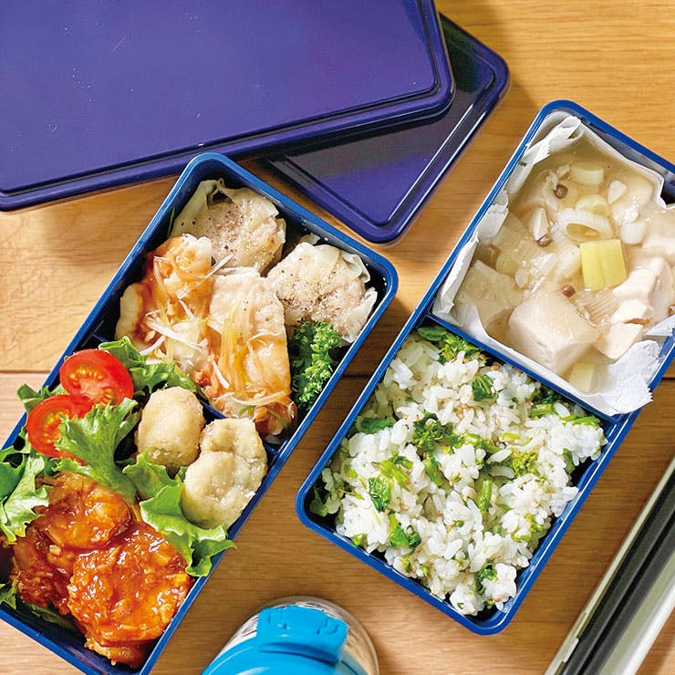 ジェルクール スクエア W メンズ 保冷剤一体型ランチボックス 三好