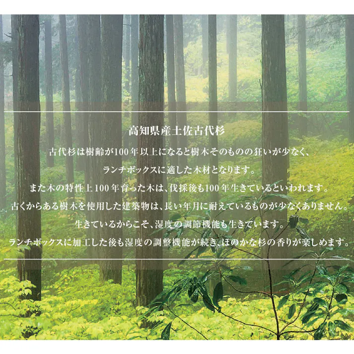 木蓋のお弁当箱 古代杉 500ml 三好製作所 BENTO STORE【ランチボックス 1段 中蓋 仕切り ゴムバンド付き 本体のみ電子レンジ対応】 チャコール