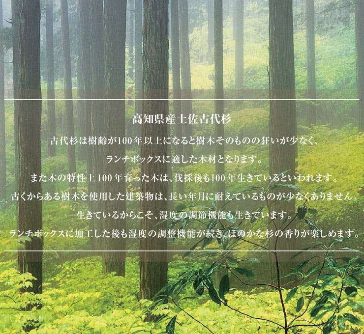 木蓋のお弁当箱 古代杉 OJU 1100ml 三好製作所 BENTO STORE【ランチ