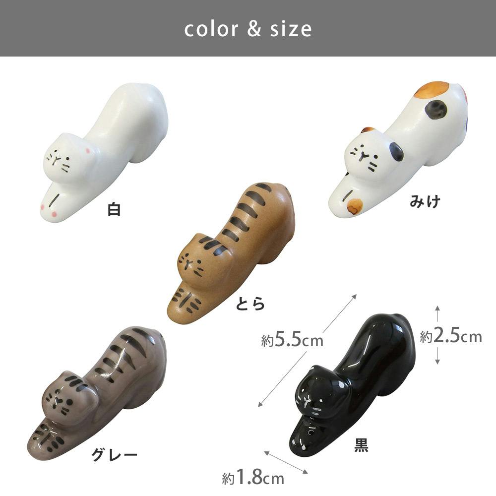 5000000020013_04.jpg