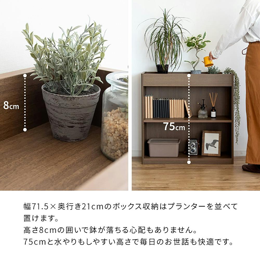 宮武製作所 MIYATAKE プランターラック Ramus(ラームス) | リビング