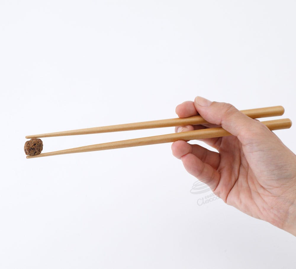 食洗機対応 天然木 Natural Wood 箸5膳組 セット 23cm メール便【箸