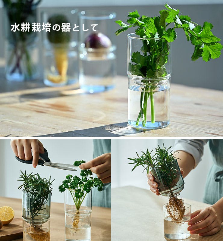 ハリオ ガラスのある生活 ガラスの花器 HARIO【フラワーベース ガラス