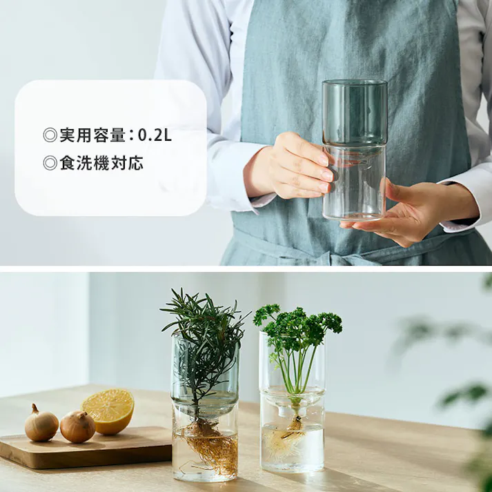 ハリオ ガラスのある生活 ガラスの花器 HARIO【フラワーベース ガラス 花器 花瓶 一輪挿し 水耕栽培 耐熱ガラス 食洗機対応】 クリアブラック