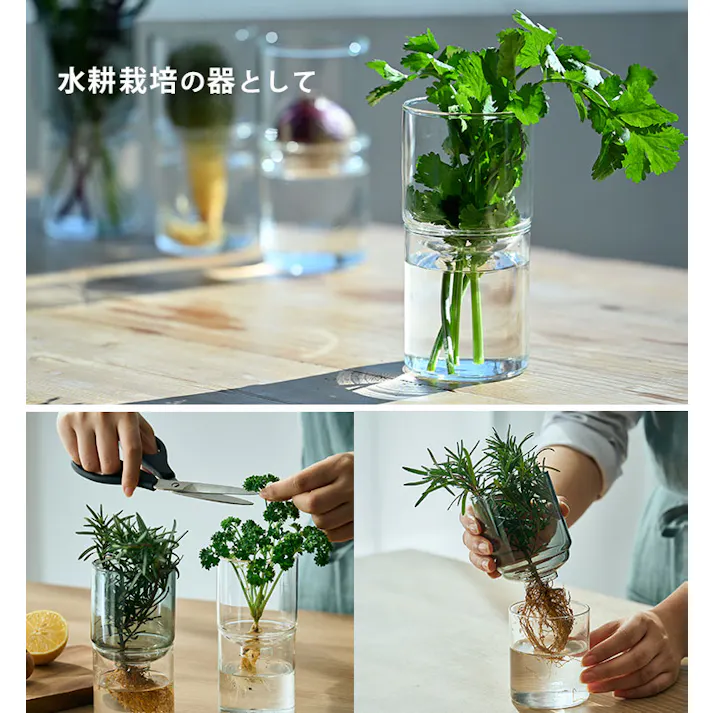 ハリオ ガラスのある生活 ガラスの花器 HARIO【フラワーベース ガラス 花器 花瓶 一輪挿し 水耕栽培 耐熱ガラス 食洗機対応】 クリア