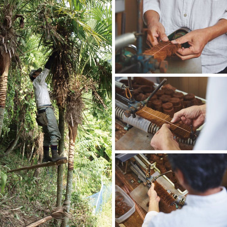 高田耕造商店 しゅろのやさしいたわし 中【棕櫚 たわし フライパン
