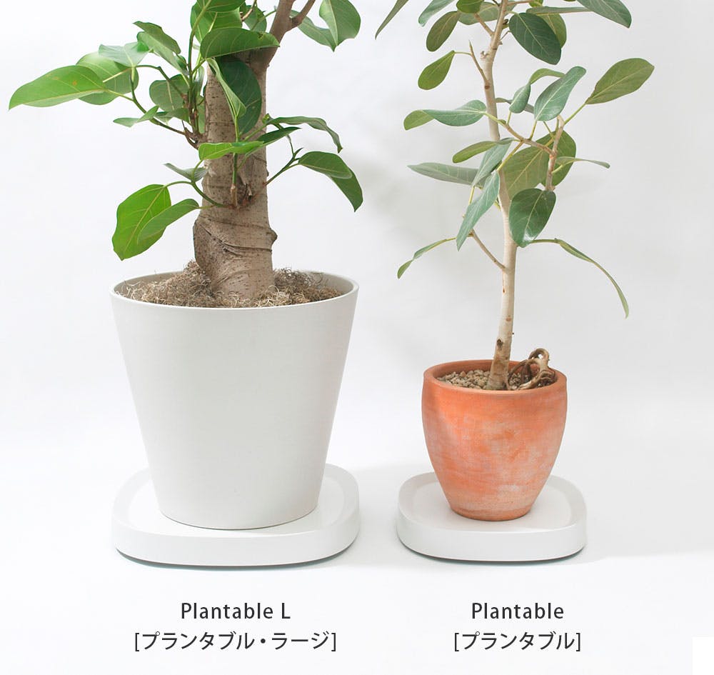 ティディ プランタブル 植木鉢トレイ キャスター付き tidy Plantable