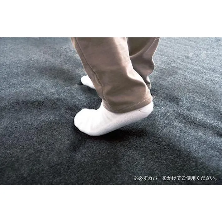 電気カーペット 単体 2畳相当 遠赤 ふかふか 省エネタイプ 広電 CWC201FR-C