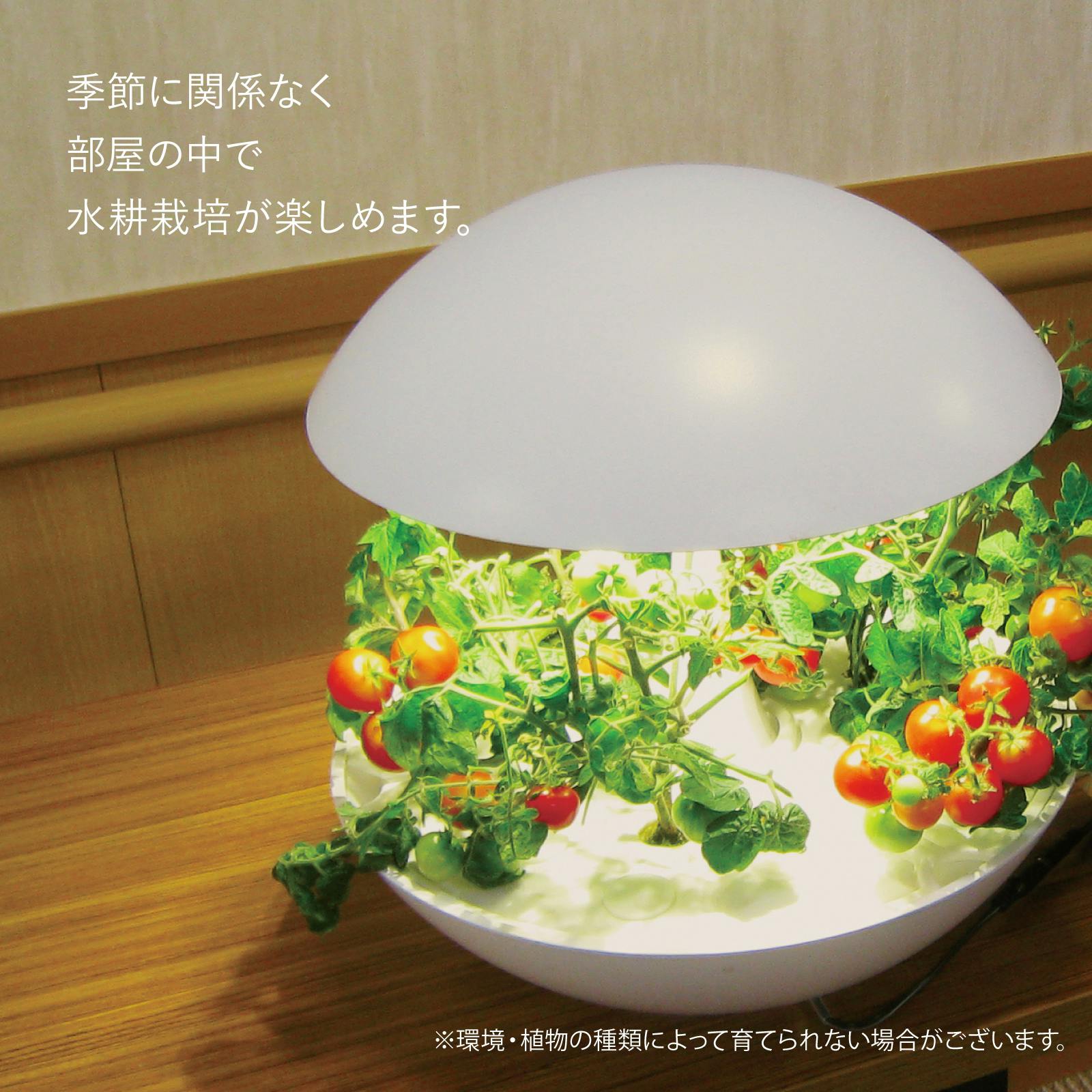 水耕栽培器 Akarina01RN | 鉢・プランター・花台・温室 通販