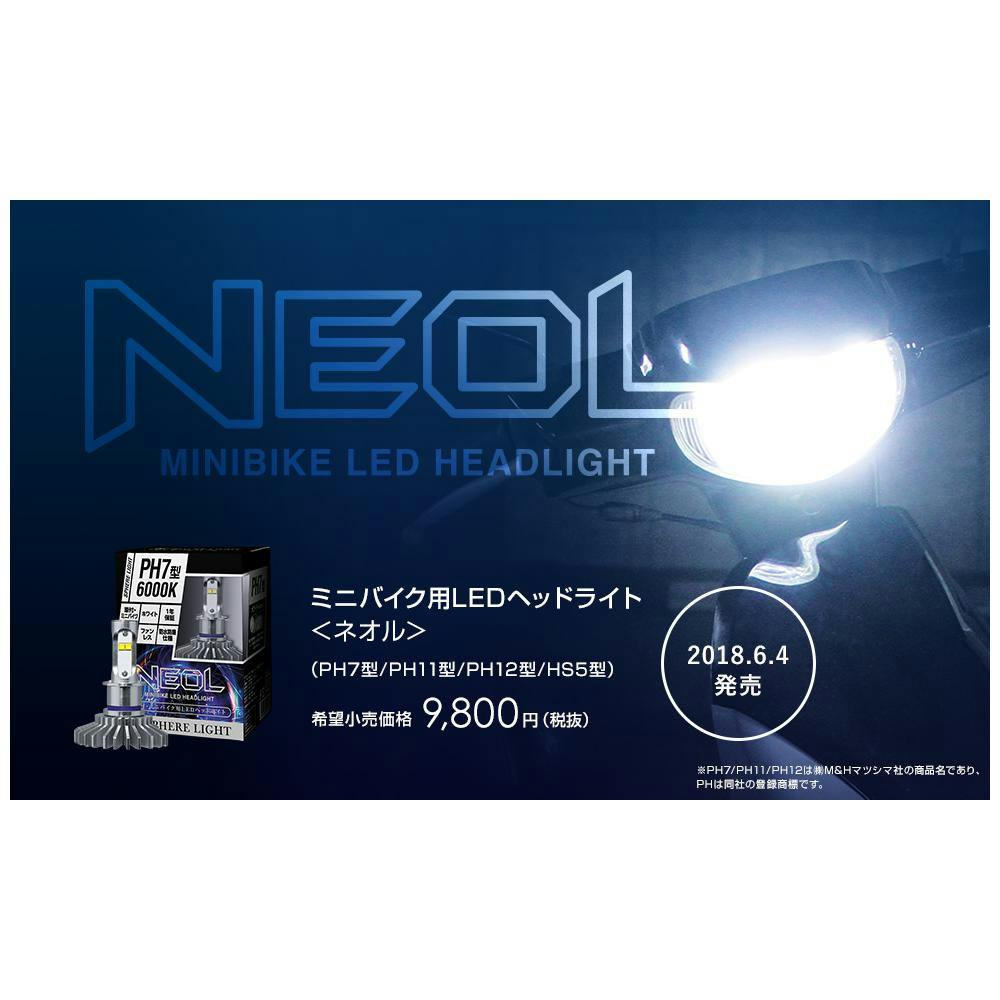 未使用❗️スパリーLEDヘッドライト Dシリーズ 2個入り 冨士灯器 ヘッドライト ゼクサス ZX-199【即日発送】: ライト