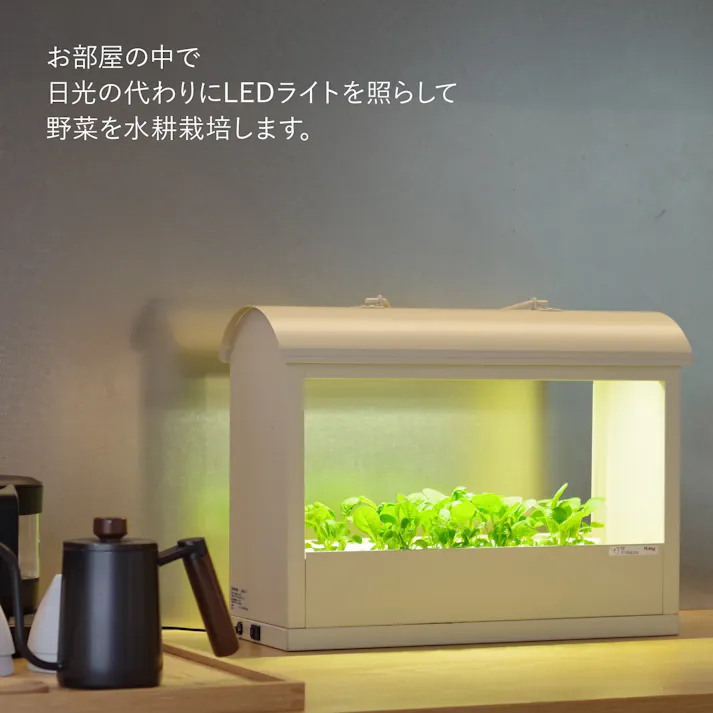 水耕栽培器 Akarina05 アイボリー