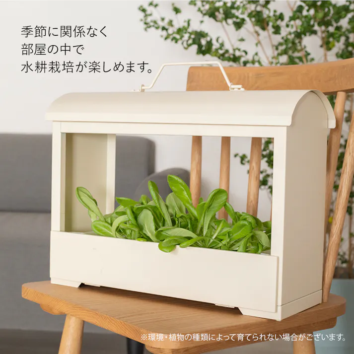 水耕栽培器 Akarina05 アイボリー