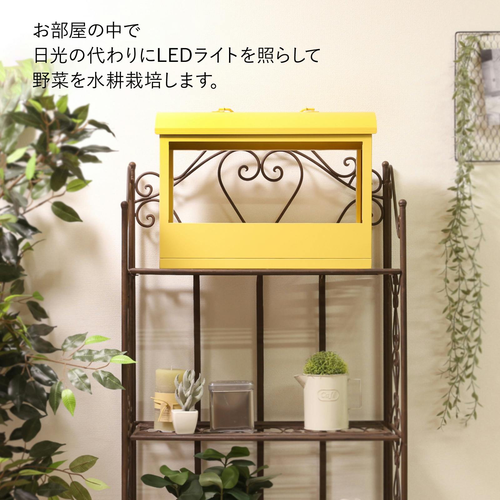 出品停止中【新品・未使用】家庭用水耕栽培器 灯菜 Akarina Akarina05 OMA05 | 灯菜 LED水耕栽培器 | おしゃれなインテリア照明店