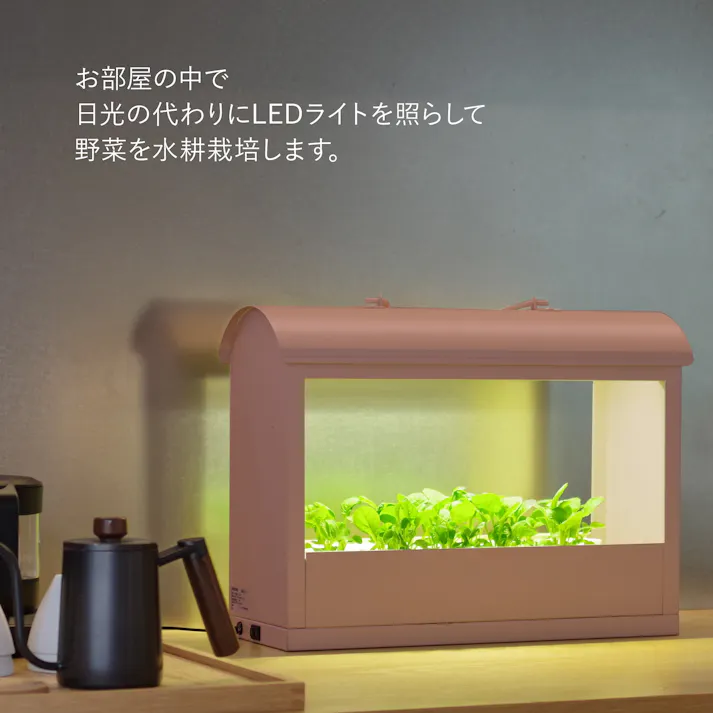 水耕栽培器 Akarina05 ピンク