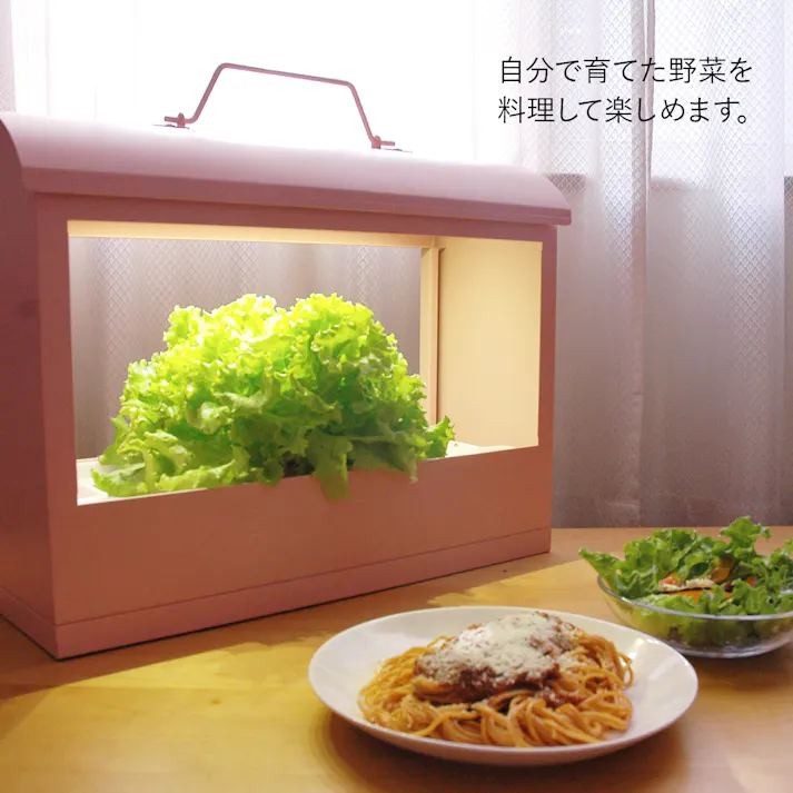 水耕栽培器 Akarina05 ピンク