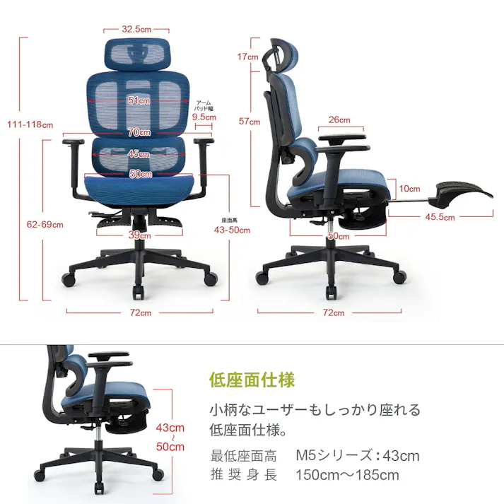 ROOM WORKS (ルームワークス) M5 多機能フルメッシュワークチェア デスクチェア オフィスチェア PCチェア 低座面 エラストマーメッシュ シートスライド フットレスト RM5-GY グレー