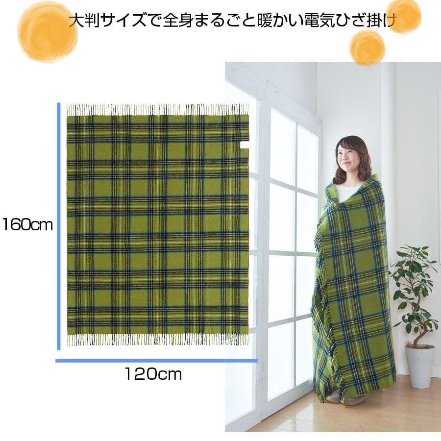 電気ひざ掛け 大判 シングル 160×120cm 洗える ダニ退治 室温