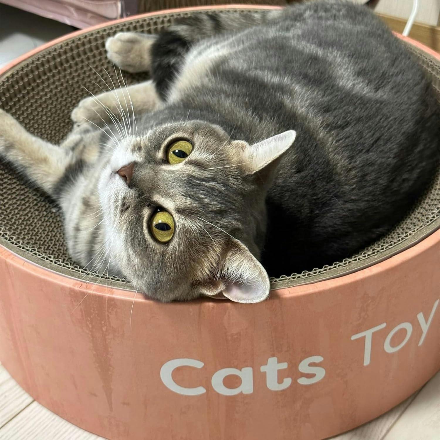 Cats toy キャッツ トイ ボウル ウッド 猫 爪研ぎ 爪とぎベッド