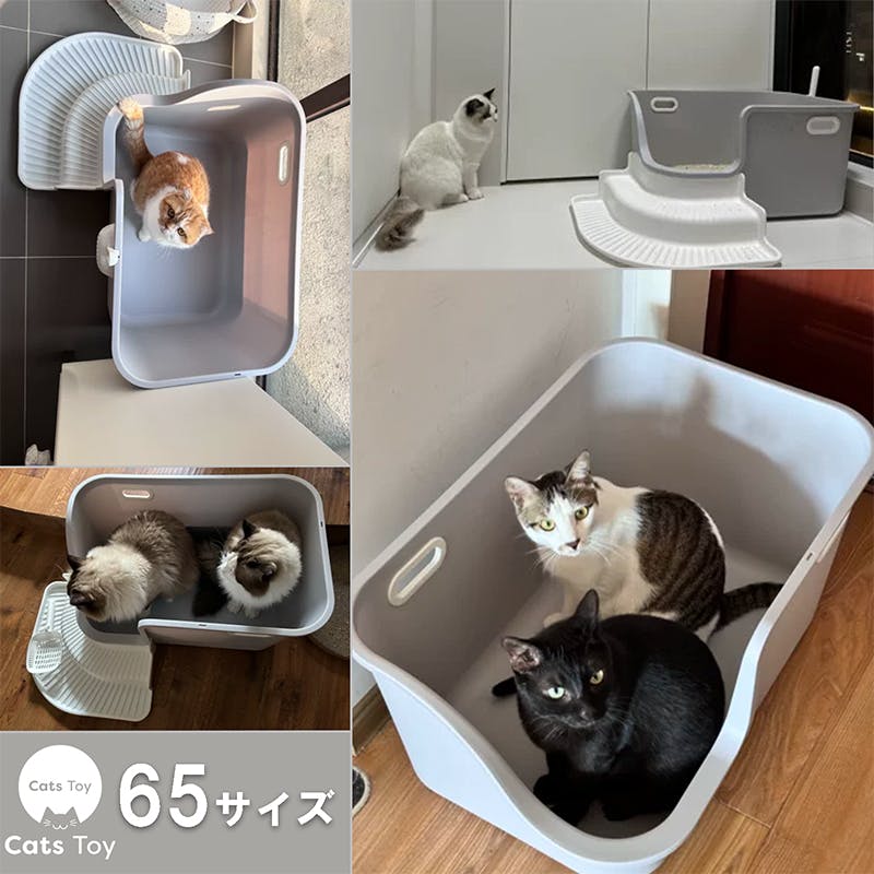 ネコのトイレ大きい Amazon | 超大型猫用トイレ オープンタイプ 大きい猫 多猫 本体